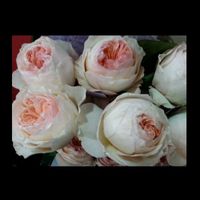 Ramo de novia