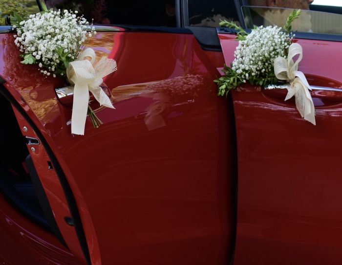Lazos coche 6