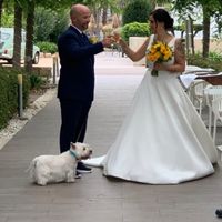 ¿Con cuántos ❤️ valoras el día de tu boda? - 2