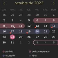 Buscadoras Octubre y Noviembre 2023 - 1