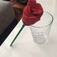 Rosas para chicas - 1