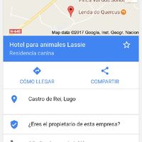 Cuidadores perros - 1