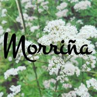Nombre originales para las mesas - 1