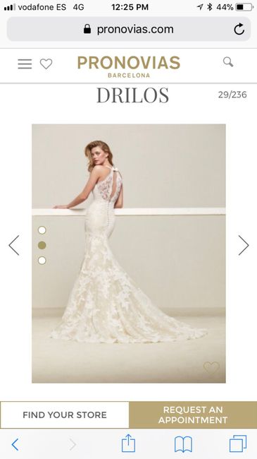  Modelo drusila pronovias - 1