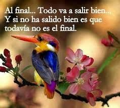 animo