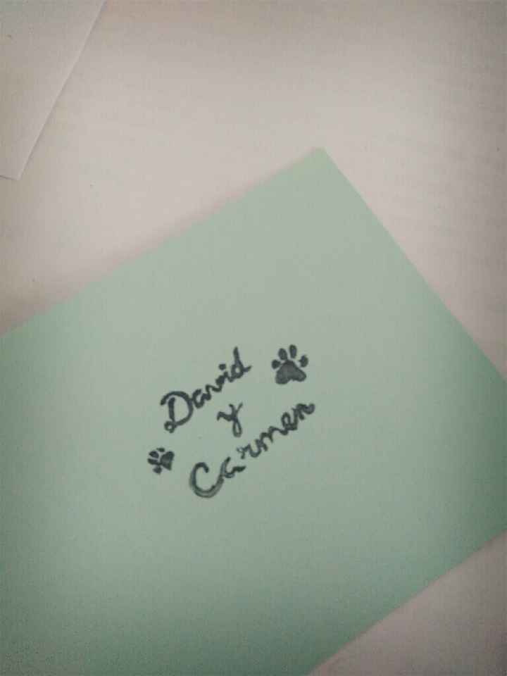 Algunas cositas diy😊 - 1