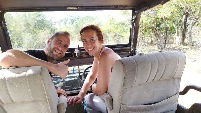 En el safari