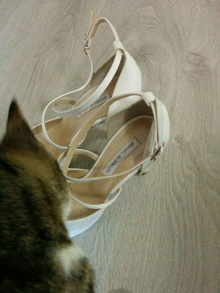 Ya tengo en casa mis zapatos! - 5
