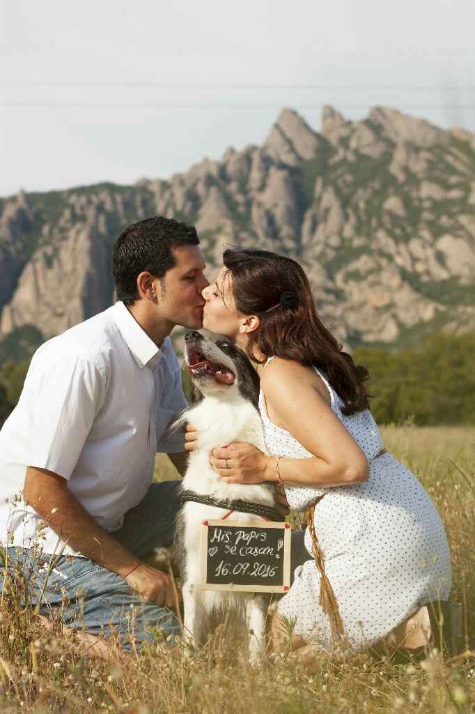 Mascotas en la boda: ¿A favor o en contra? - 1