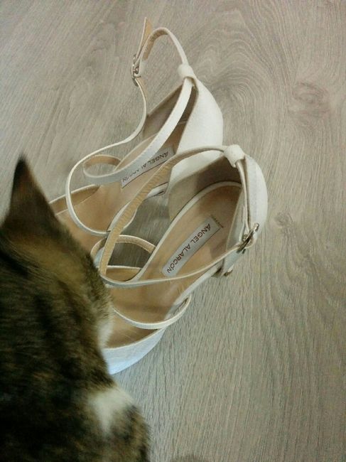 Ya tengo en casa mis zapatos! - 5