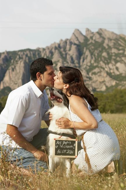 Mascotas en la boda: ¿A favor o en contra? - 1