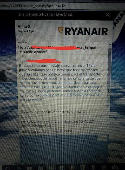 Volar con Ryanair bebe de 9 meses - 2