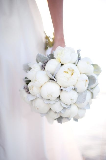 ¿qué flor elegís para vuestro ramo de novia? - 1