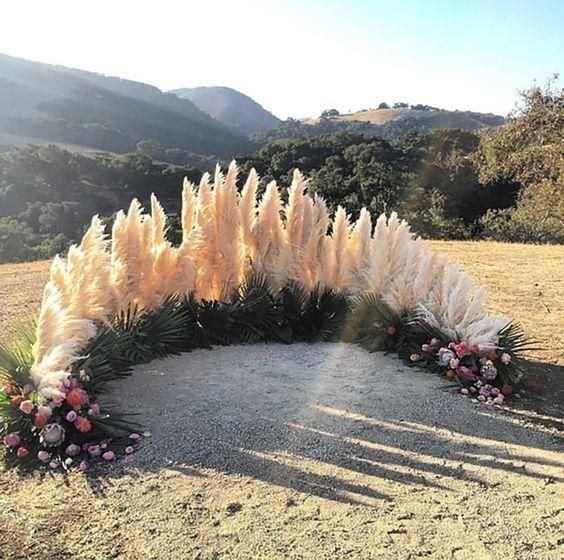 Decoración con pampas 2