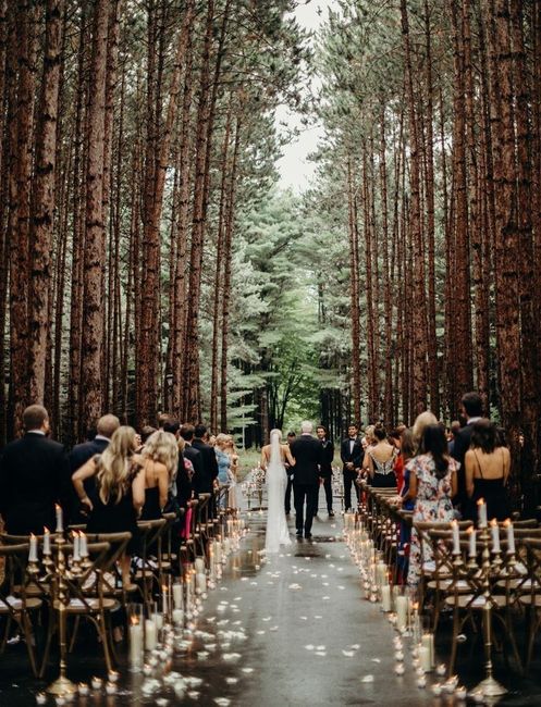 Boda en el bosque 1