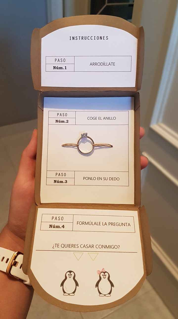 Kit pedida 1