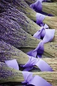 lavanda