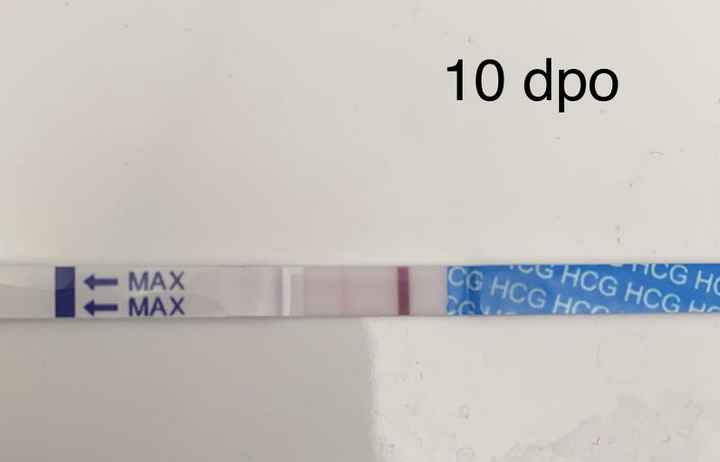 Inseminación artificial ¿cómo os fué? - 2
