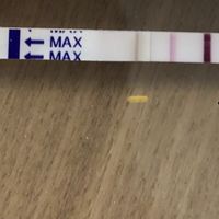 Inseminación artificial ¿cómo os fué? - 1