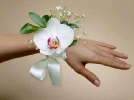 pulsera