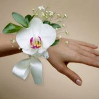 pulsera