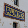 Pascual Martinez
