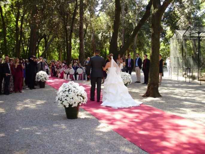 Bosque/Jardín - Boda Civil Exterior