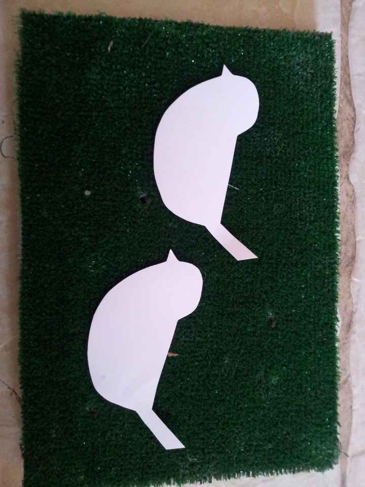 Pájaros para jaula de los deseos