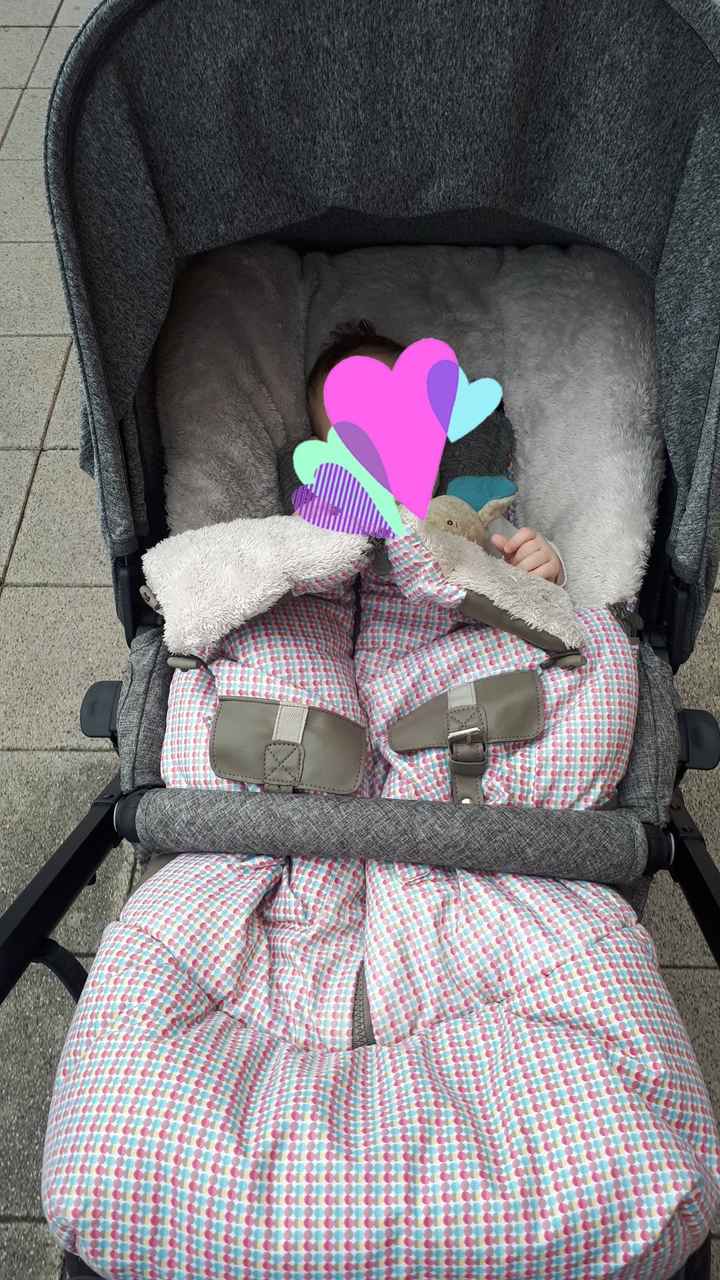 Saco para silla de paseo 9