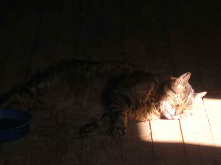 Nada mejor que tomar el sol