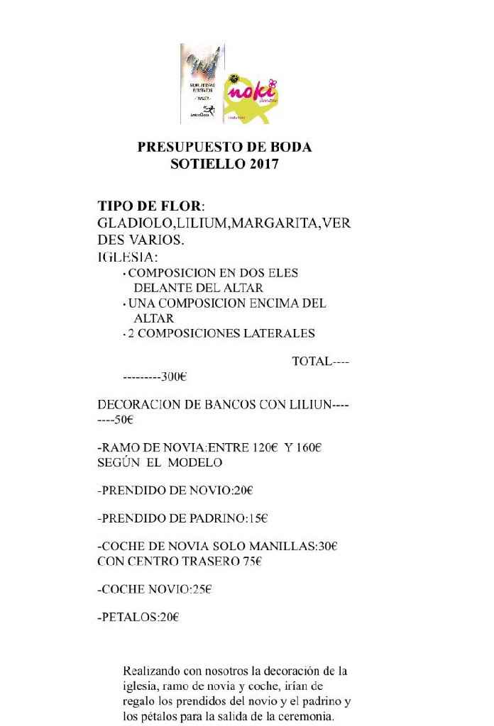 Presupuesto pétalos para los conos - 1