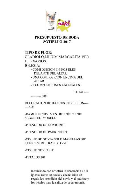 Presupuesto pétalos para los conos - 1