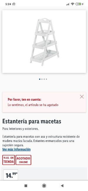 Necesito inspiración!! Dónde poner conos de pétalos 16