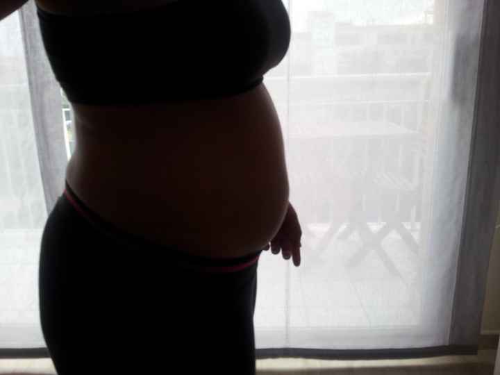 11 semanas