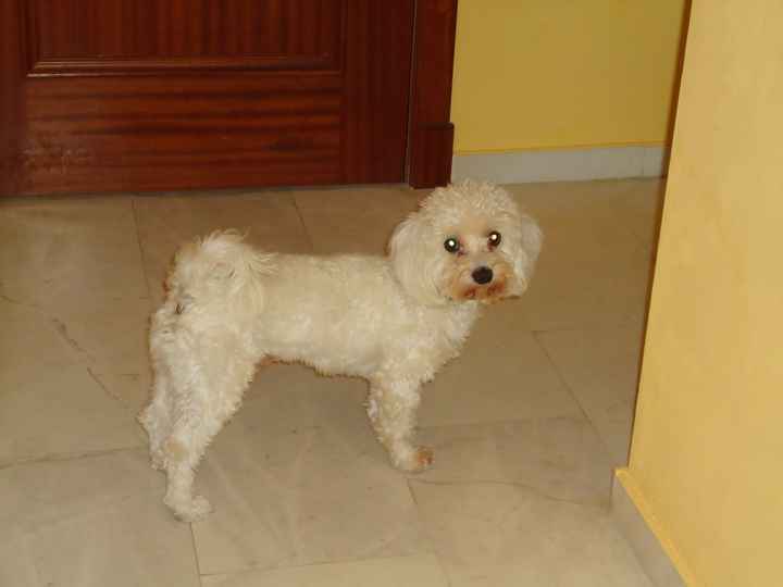 nico mirando