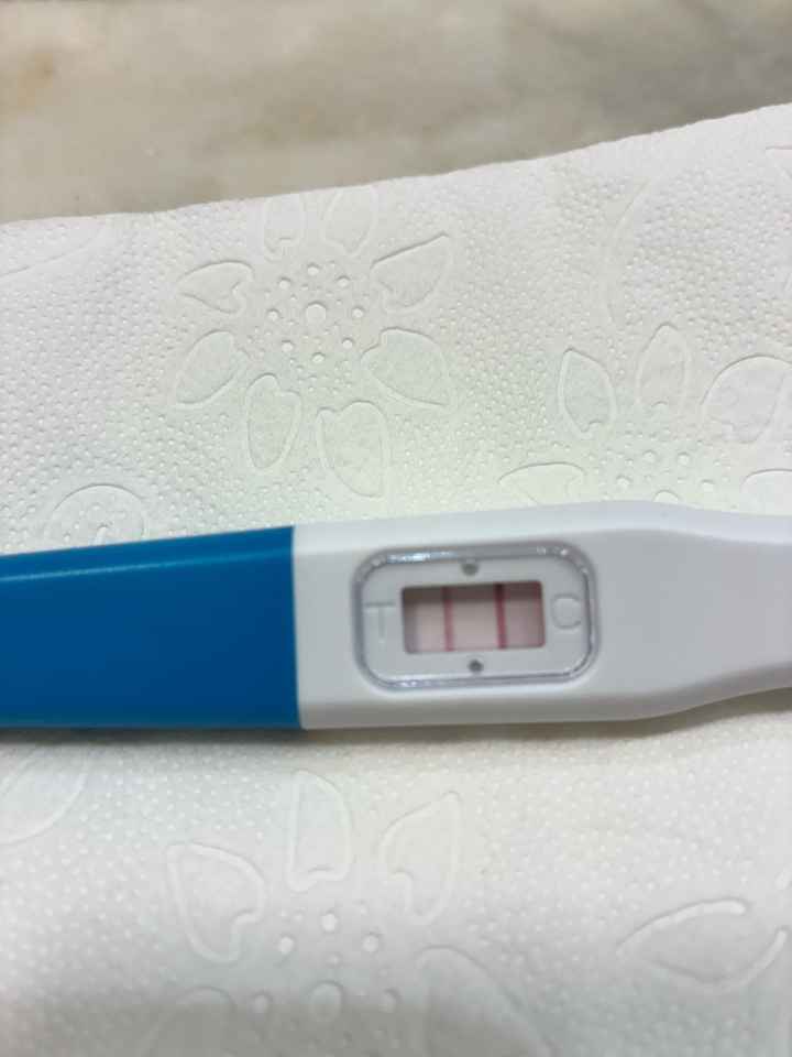 Buscadoras abril 🌞🪻🪻🌹🌹🌞 - 1