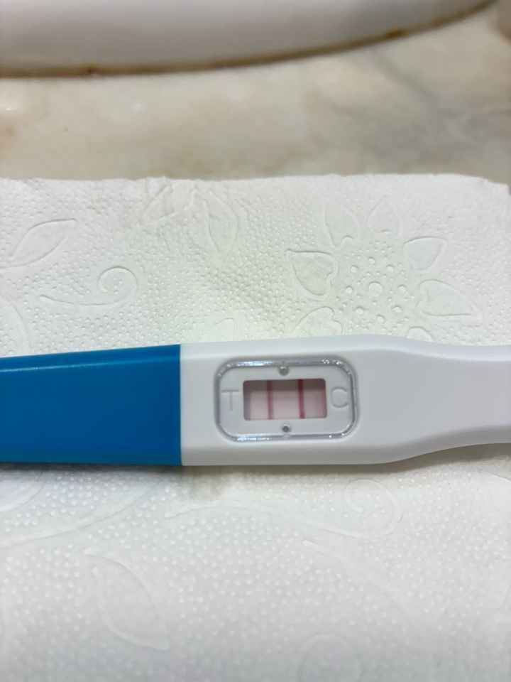 Buscadoras abril 🌞🪻🪻🌹🌹🌞 - 1