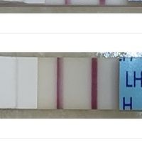 💞Buscadoras Julio 2025 🏖️ - 1