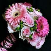 gerberas