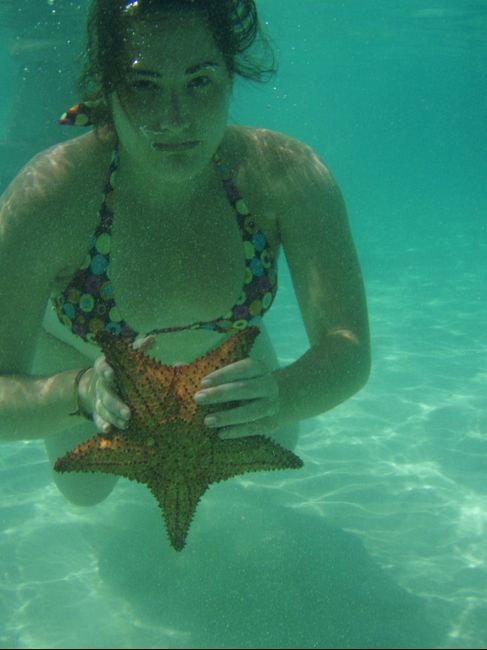 estrella