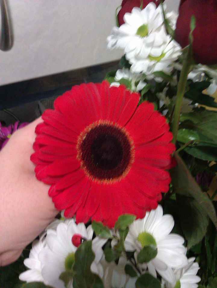 florr