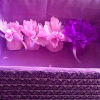 Mis cositas - 3