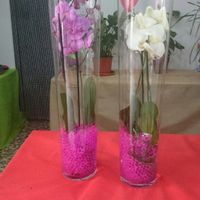 Novios que nos casamos el 30 de Abril de 2017 en Murcia - 1