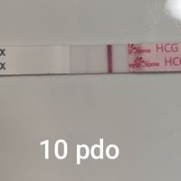 Buscadoras octubre 2024❤️ - 1