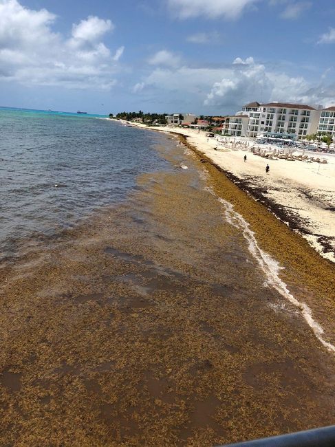 Estado playa Riviera Maya - 2
