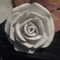 rosa goma eva