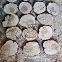 Rodajas de madera caseras!! - 1