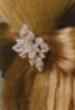 Broche para el pelo