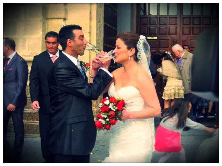 brindis