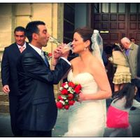 brindis